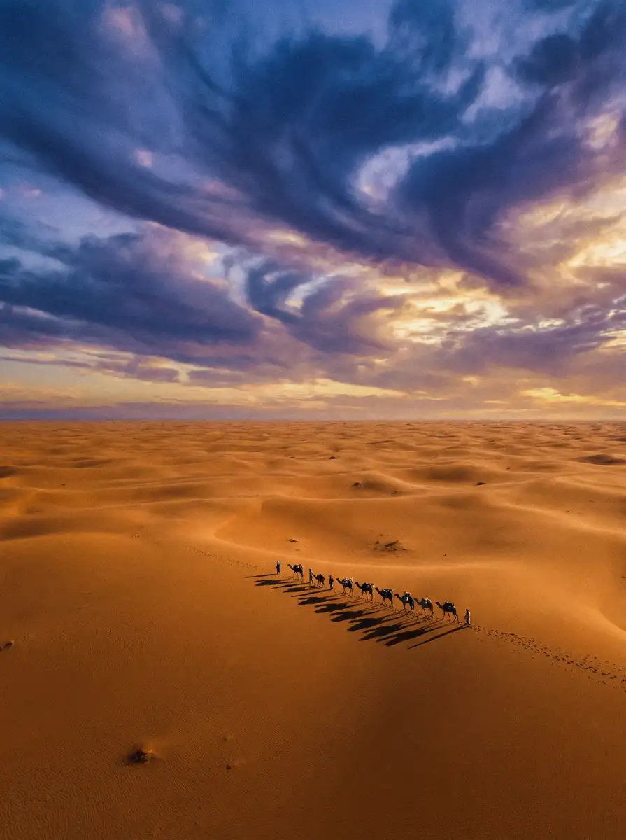 纪录片《丝路回响》 - 花臂夫夫 项目